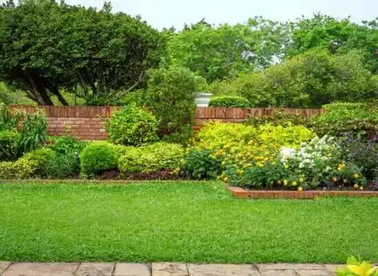 landscaping services Cheverly